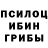 Псилоцибиновые грибы мицелий n1tro 12