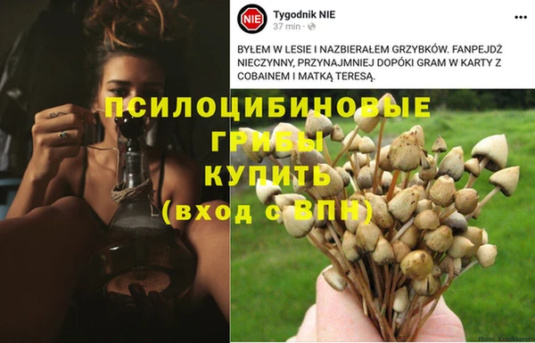 ECSTASY Навашино