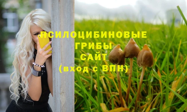 прущие крисы Абаза