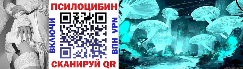 Галлюциногенные грибы Magic Shrooms  купить наркоту  нарко площадка состав  Новомичуринск 